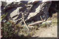 banc de fortune sur un sentier de l'Estaque, (deux pierres une planche) bouches du Rhne, 04/2006 (96415 octets)
