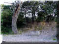Aureille, banc de pierre sur un chemin des Alpilles, 04/2006 (100706 octets)
