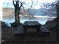 lac Pavin, 02/2008 (114328 octets)