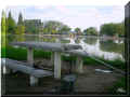 le fond de l'étang de Bourgueil fréquenté par des buveurs de bière, mai 2008 et le webmaster à la pêche (100858 octets)