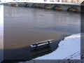 banc baigné par la Vienne en crue ; bord_de_vienne, 03/2006 (59216 octets)