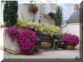 La Chapelle sur Loire : bancs  fleuris de la place de la mairie, 07/2006 (104474 octets)