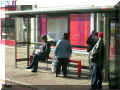  London,  bus shelter, 10/2008(109551 octets)