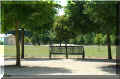  parc du chtrau de  Versailles, 07/2008 (107163 octets)