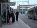 bus-shelter-dublin_tramway, IRLANDE, 03/2010 (337591 octets)