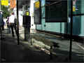 london-bus-shelter, Holborn_07/2009 (331236 octets)
