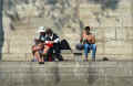 banc_quais-de-la-seine_paris_avril_2011 (396466 octets)