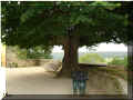 Chevreuse "sous_le_tilleul, au pied du château de la Madeleine, Yvelines, 78, France, 07/2008 (79284 octets)