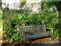 Green-park,banc-cygne, London, United Kingdom, 10/2008  (122354 octets)