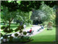 Angers, jardin des plantes, 08/2006  (118622 octets)