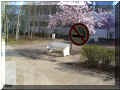interdiction de fume  l'intrieur : le banc est dehors, le panneau sur une vitre 09684 octets)
