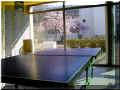 le banc sous le cerisier vu d'une table de ping-pong, 04/2006 (67654 octets)