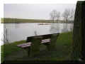 Loudun, étang Beausoleil, 02/2008 (99454 octets)