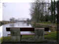 Loudun, étang Beausoleil, fond de l'étang, 02/2008 (98319 octets)