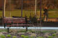 j_botanique13_montreal_juin2011 (354461 octets)