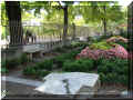 N�mes, jardins de la Fontaine, 08/2007 (147528 octets)