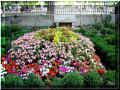 N�mes, jardins de la Fontaine, 08/2007 (148550 octets)
