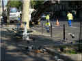 banc-et-pigeons_paris_ (370088 octets)