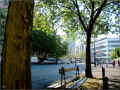 banc-et-platanes_paris (411862 octets)