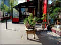 bancs-pour-pots-de-fleurs_paris (419065 octets)