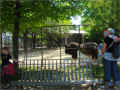 banc-et-autruches_jardindesplantes_paris, avril 2011 (419764 octets)