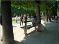 banc-public_jardin-du-luxembourg_paris (323940 octets)