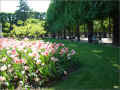 banc_jardin-du-luxembourg_paris_tulipes (409276 octets)