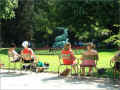 chaises-du-jardin-du-luxembourg_avril (410625 octets)