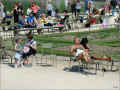 chaleurs-davril_jardin-du-luxembourg (398150 octets)