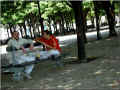 pique-nique-sur-un-banc_paris (403212 octets)