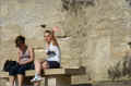 banc_quais-de-la-seine_paris_avril (415610 octets)