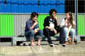 banc_quais-de-la-seine_paris_avril_ (281486 octets)