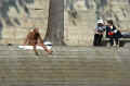 banc_quais-de-la-seine_paris_avril (412920 octets)