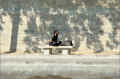 banc_quais-de-la-seine_paris (271996 octets)