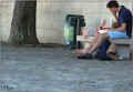 lecture_paris_bord_de_seine_u8.jpg (87668 octets)
