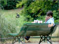 parc_montsouris_paris_07/2008 (108722 octets)