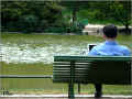 parc_montsouris_paris_ordi_07/2008 (112619 octets)