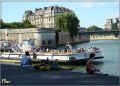paris_bord_de_seine_07/2008 (96821 octets)