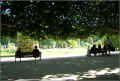 paris_jardin_des_plantes_07/2008 (148717 octets)