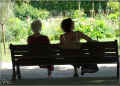 paris_jardin_des_plantes_07/2008 (126277 octets)
