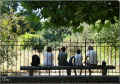 paris_jardin_des_plantes_07/2008 (140026 octets)