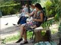 paris_jardins_07/2008 (99878 octets)