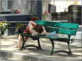 sieste_au_cimetiere_montparnasse_paris_u8.jpg (91040 octets)