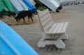 quimiac_piriac-sur-mer-44_banc-et-chien_08/2010 (293083 octets)