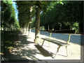 Rambouillet,  parc du château, 07/2008 (127246 octets)