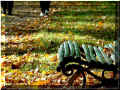 Parc de Richelieu, 10/2007 (122917 octets)