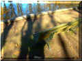 Parc de Richelieu, 10/2007 (104527 octets)