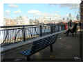 vue sur la City, Londres, bord de la Tamise, 10/2008  (109631 octets)