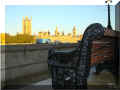 london,banc-cygne, au fond :"houses-of-Parliament" (palais de Westminster), 10/2008 (84481 octets)