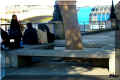 London, "tree-bench"_bord de la Tamise, 10/2008 (79440 octets)